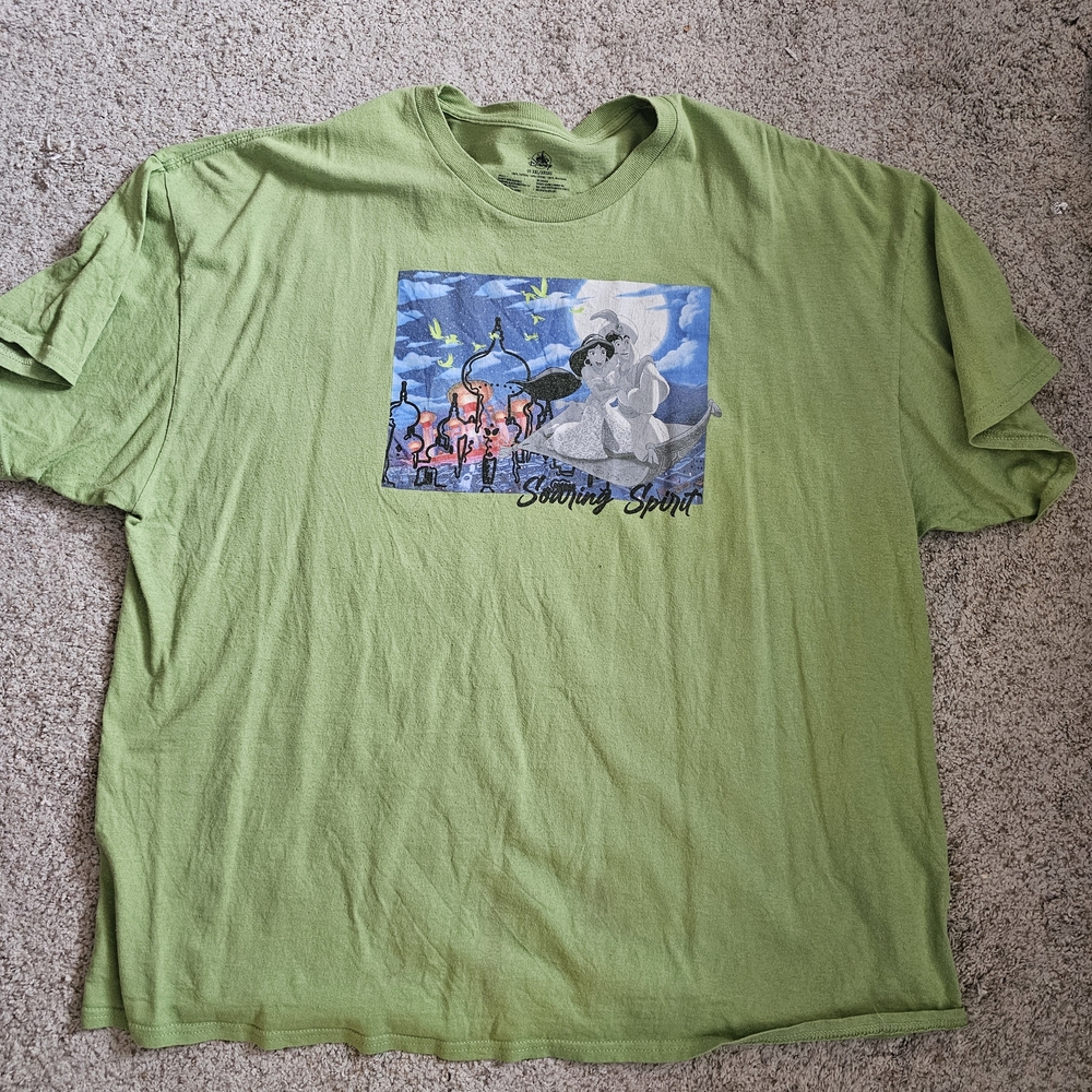Disney Aladdin & Jasmine Green T-Shirt